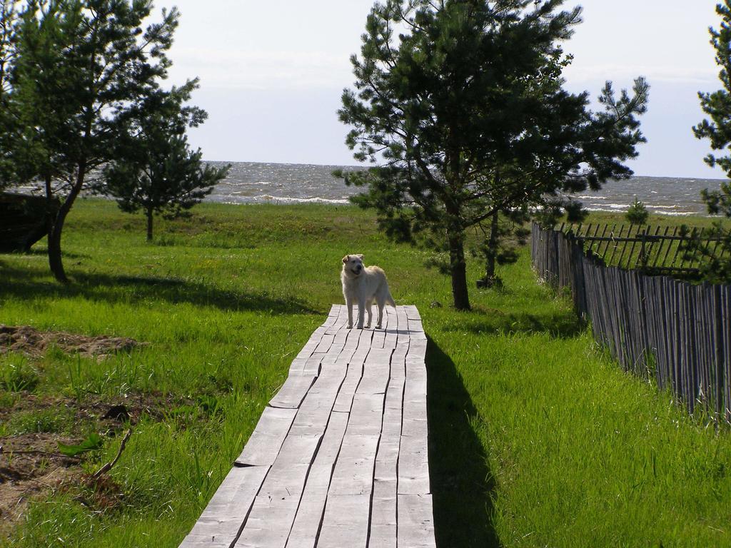 Villa Treimani Puhkemaja Camera foto